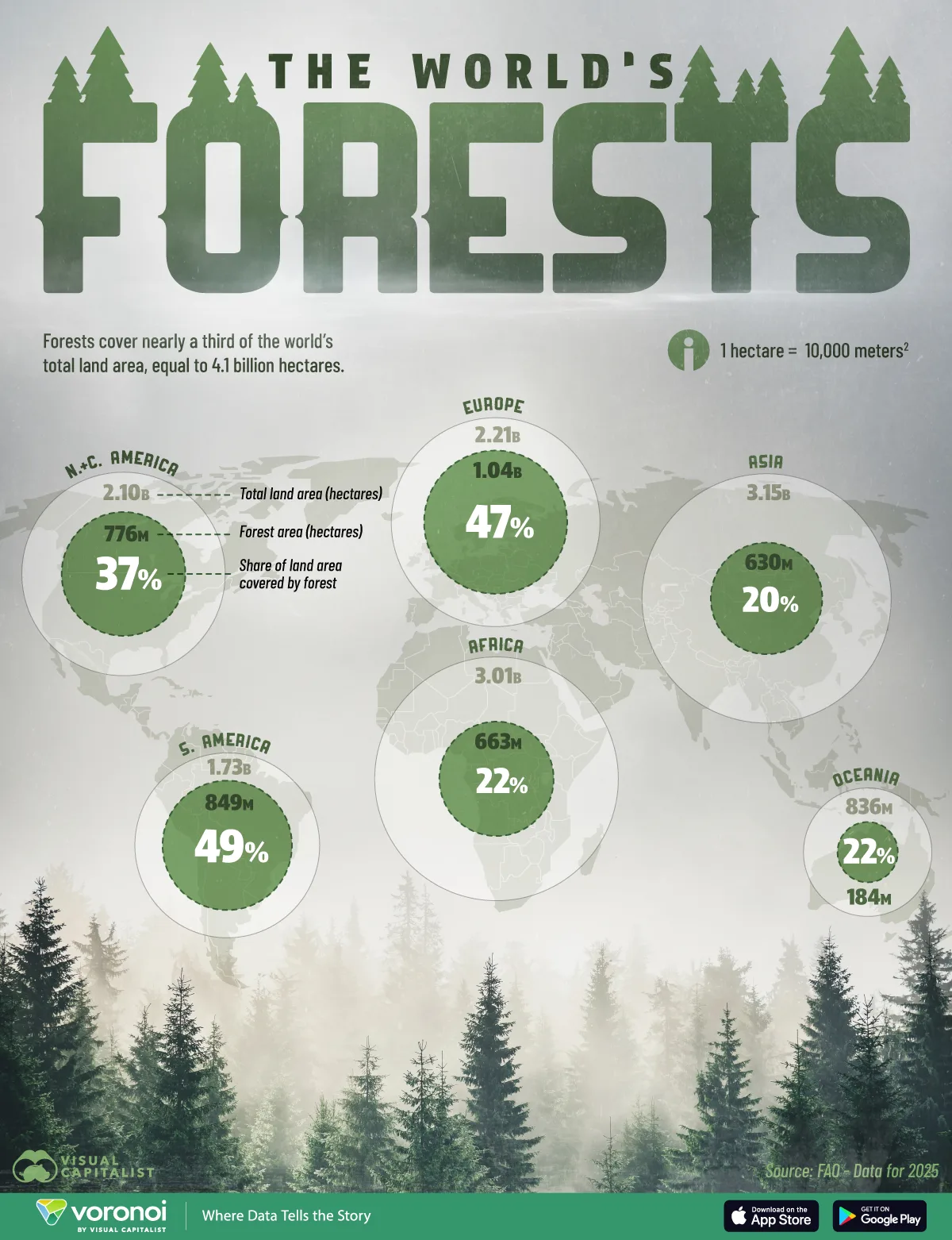 Map showing the density of forests by region as a percentage of land area.