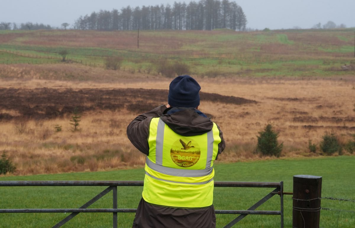 Upper body of a man in branded hi-vis vest, seen from behind, as he looks over peatland landscape of varied green, brown and light-coloured moorland, with conifer trees in the distance, and a dull-coloured sky overhead