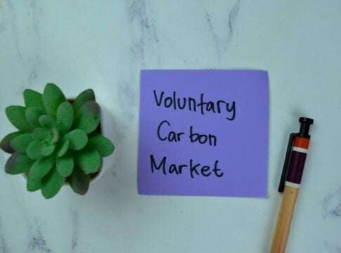 A Recap of the Voluntary Carbon Market: Quality Over Quantity