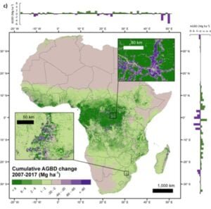 cumulative Aboveground Biomass Density (AGBD) net gains (green) and losses (purple) from 2007 to 2017