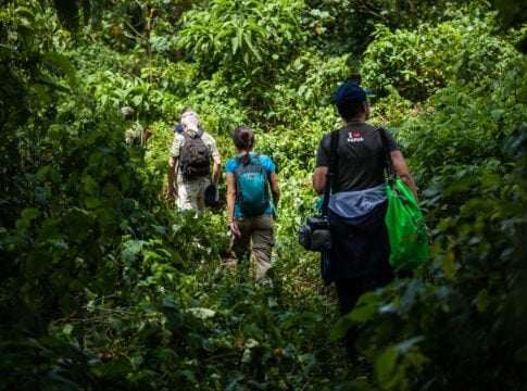 Africa’s Forests Are Now Emitting Carbon Instead of Absorbing It