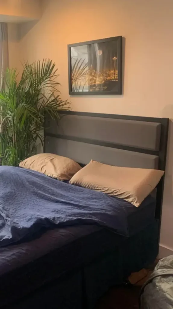 Bedroom Statement Headboards