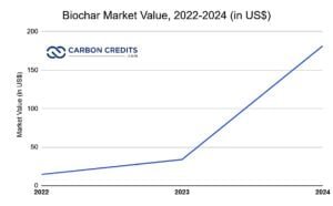 biochar market value 2022 to 2024