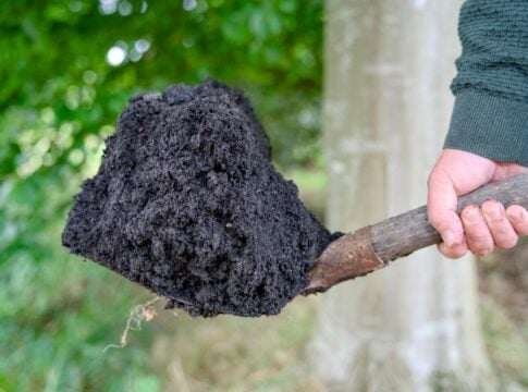 Biochar Carbon Credits in 2025: Stable Prices Amid Weakening Demand