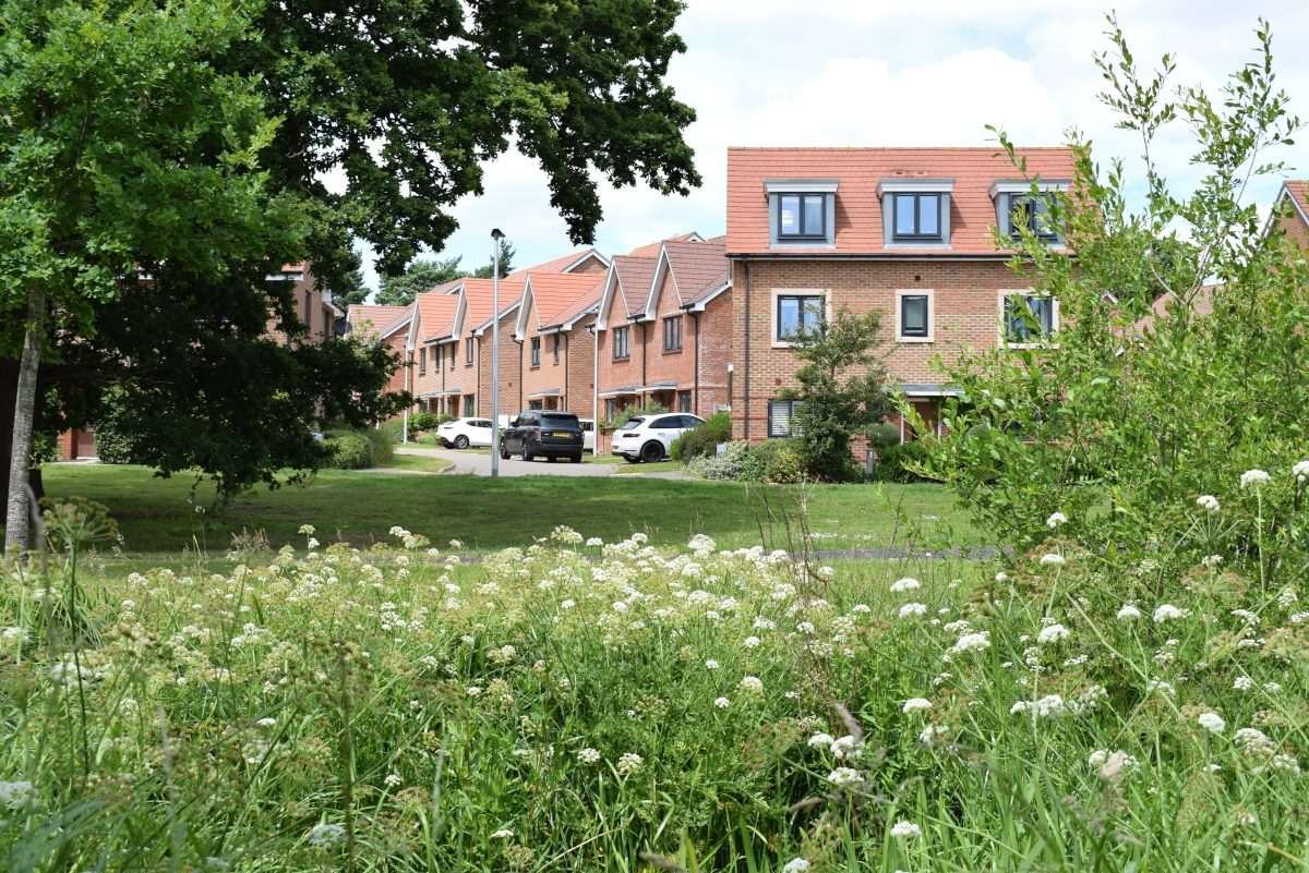 Housing development visible across a meadow with grass, flowers and trees all visible within foreground