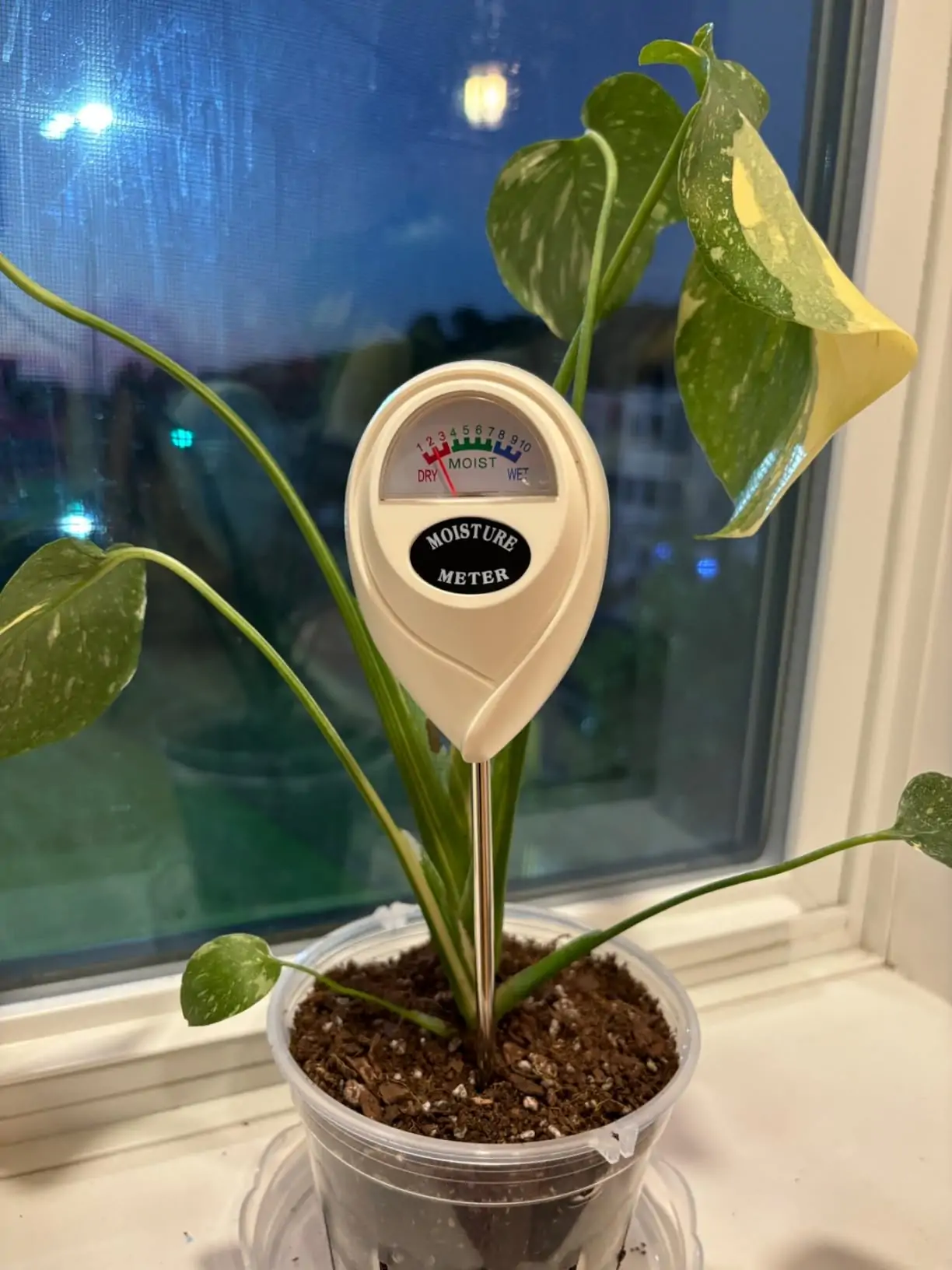 My Experience with Censinda Soil Moisture Monitor