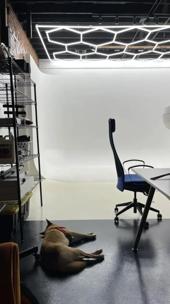 Multi-Purpose Content Creation Room 