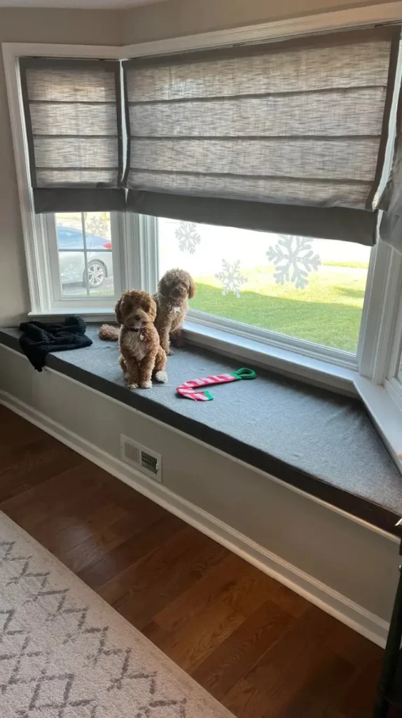 Blanket Storage Living Room Window Seat Storage