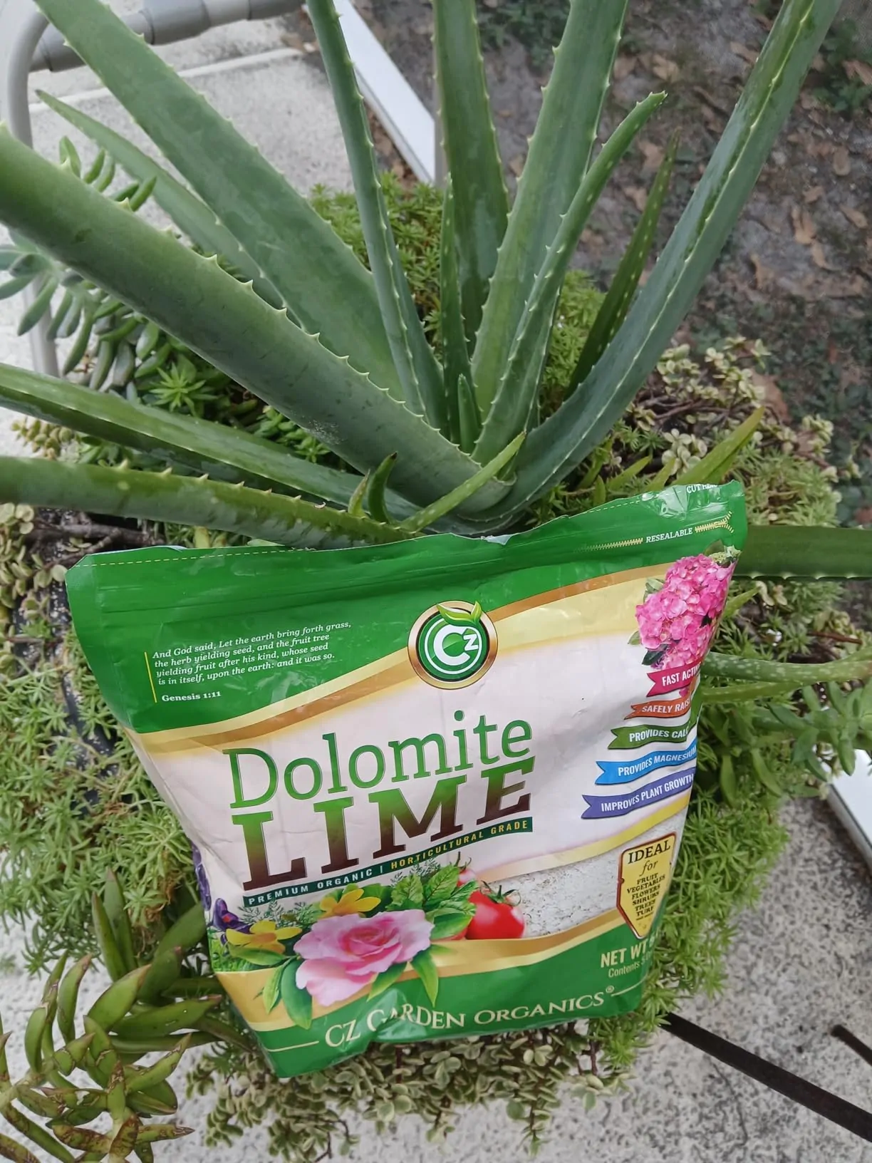 My Experience with Cz Garden Supply Dolomite Lime 