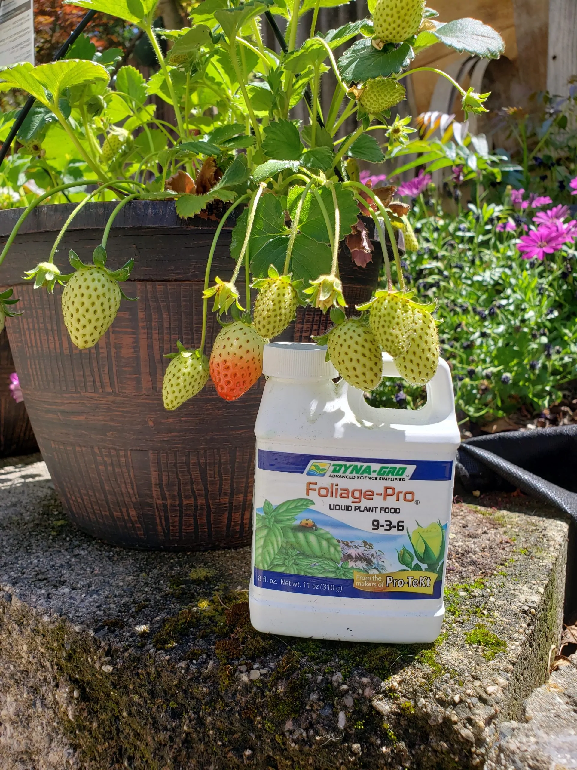 My Experience with Dyna Gro DYFOL008 Foliage Pro