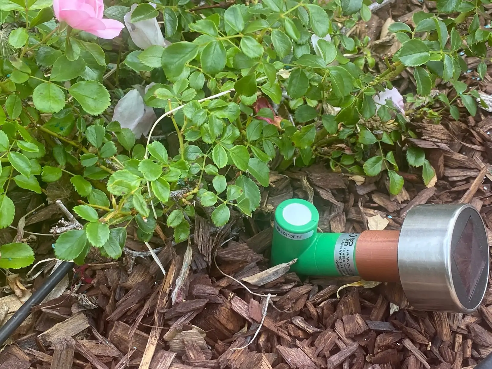 My Experience with ECOWITT WH51 Soil Moisture Meter