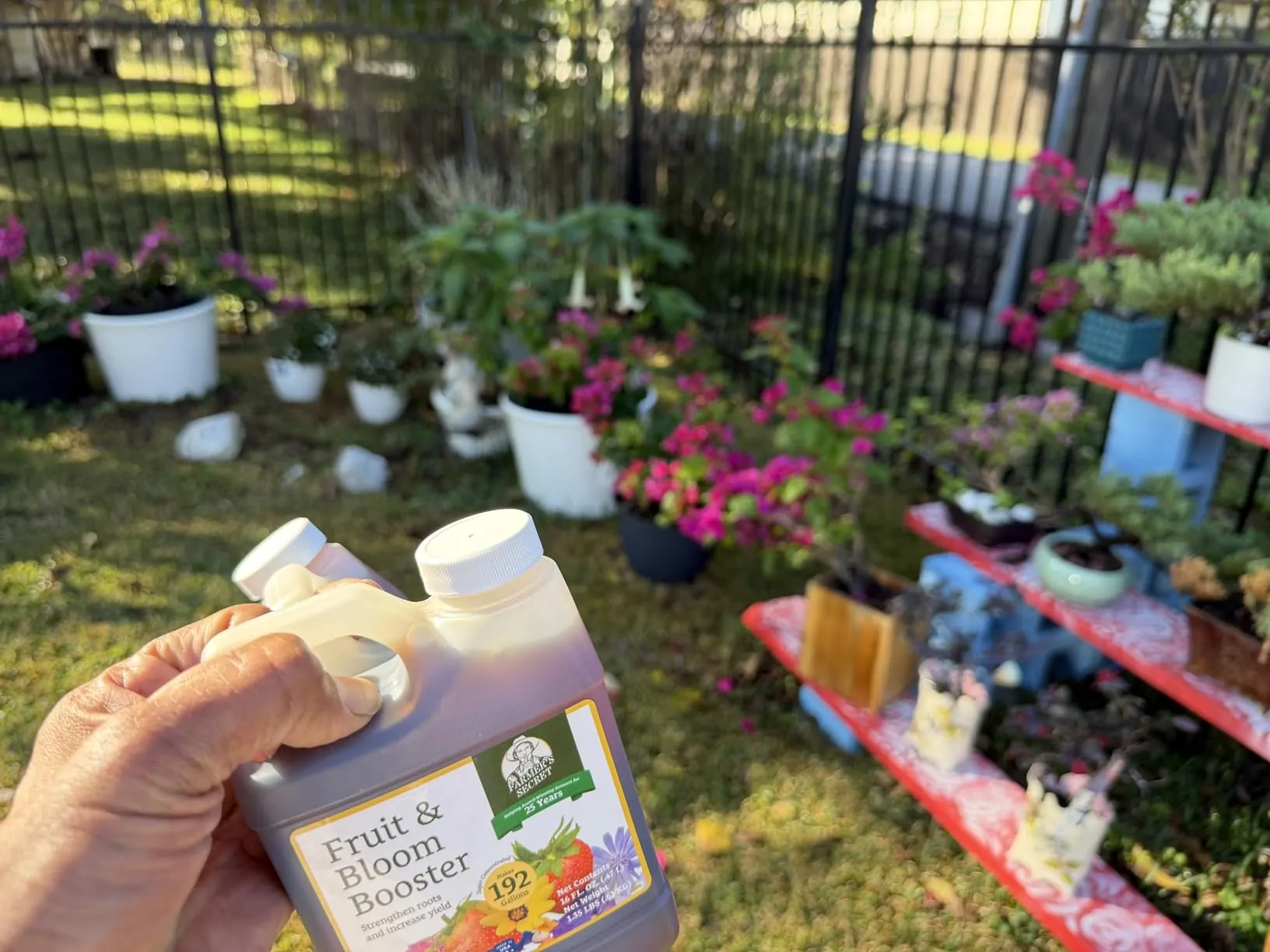 My Experience with Farmer’s Secret Fruit & Bloom Booster Fertilizer