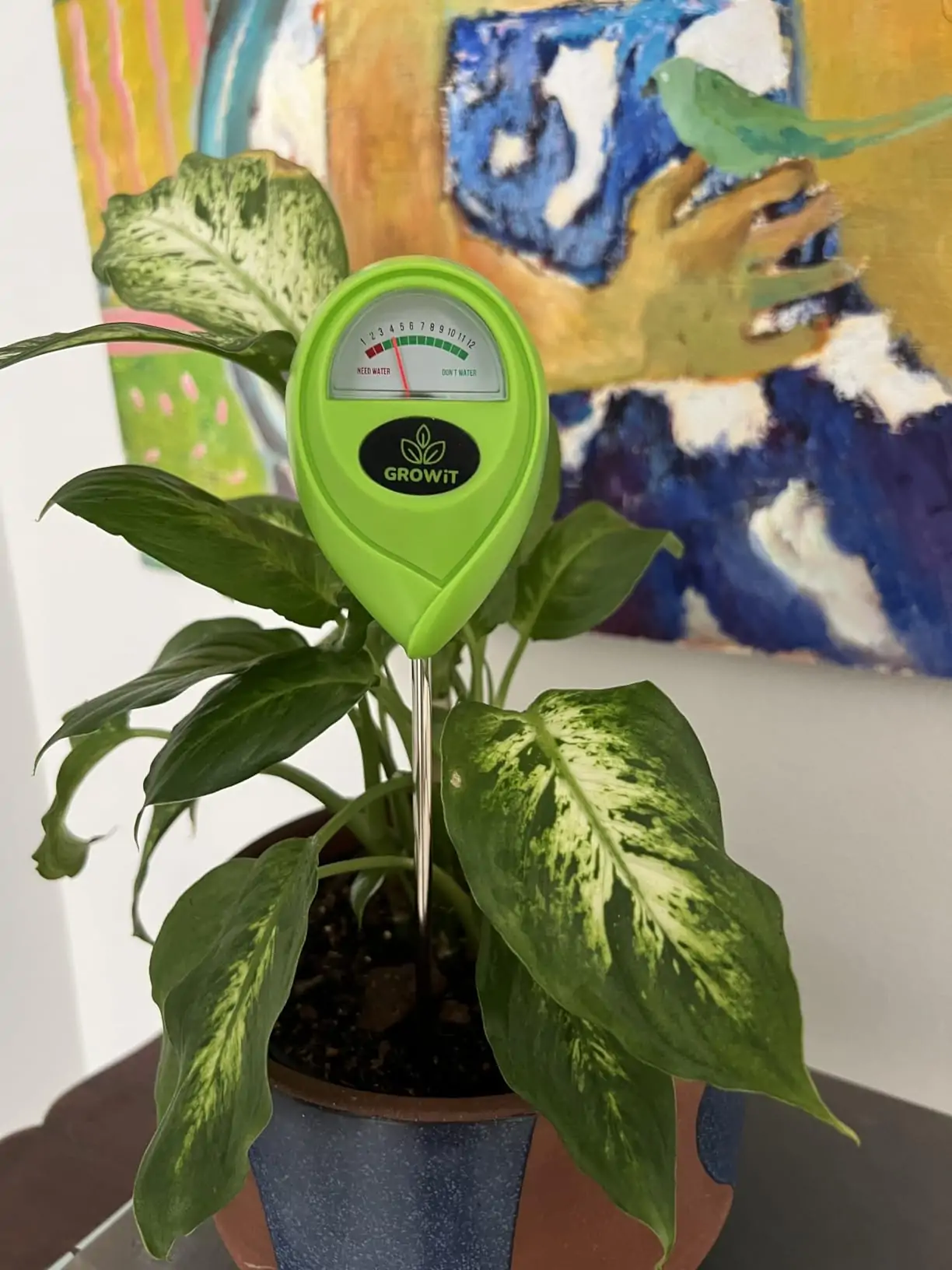 My Experience with GROWIT Soil Moisture Meter