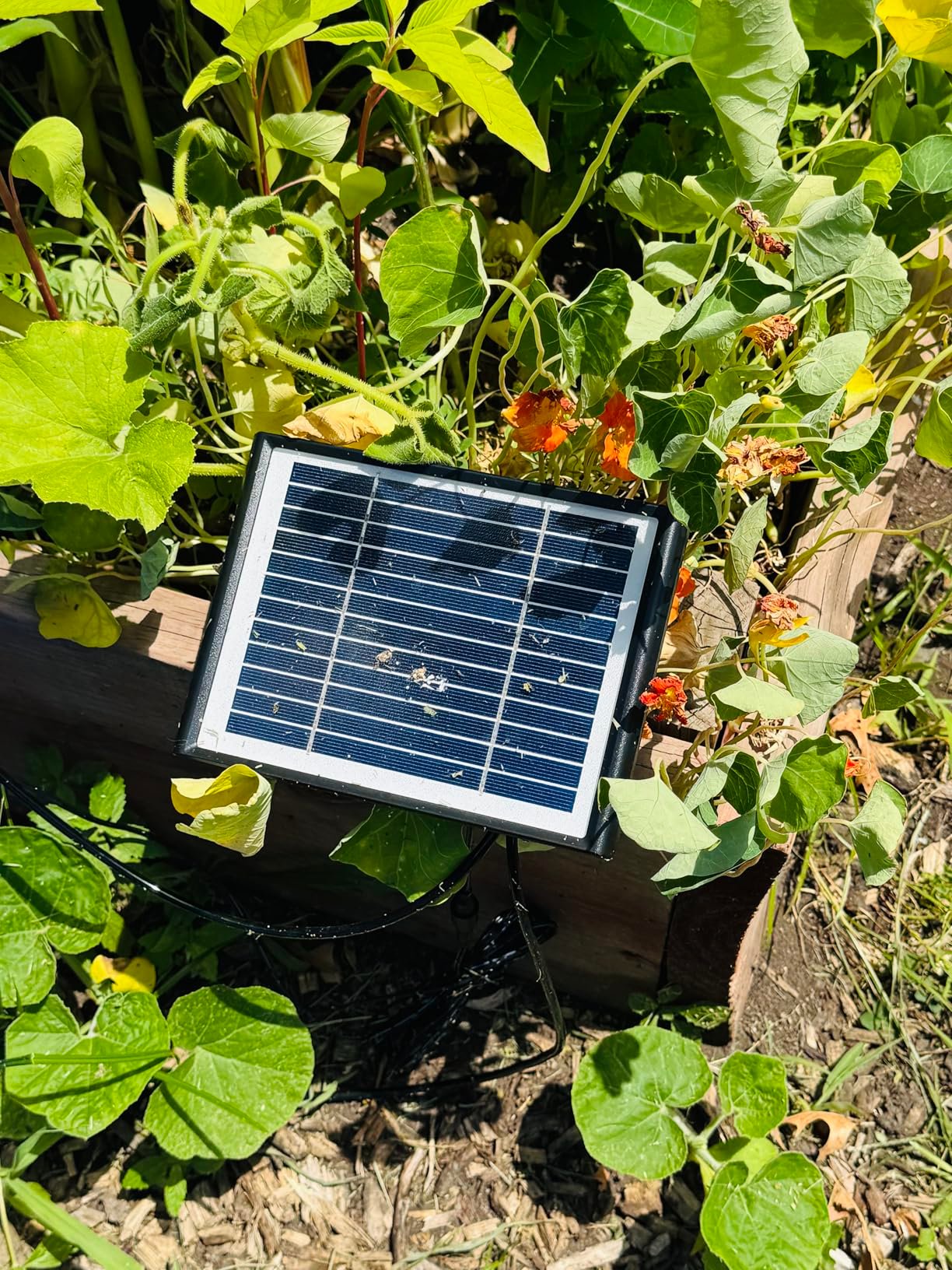 My Experience with HEKIWAY Solar Drip Irrigation System