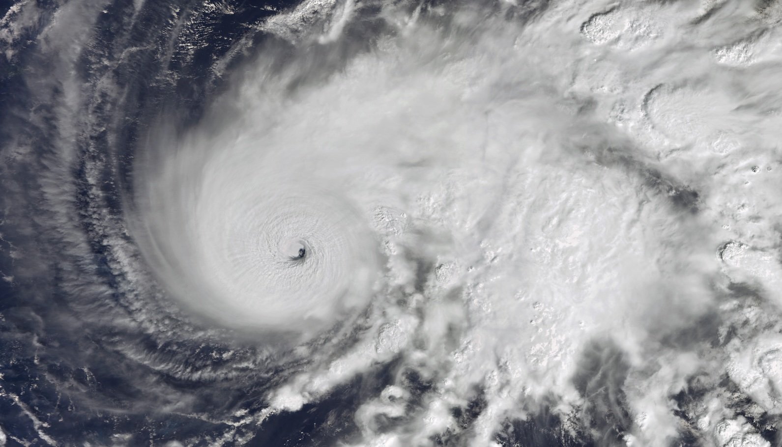 a satellite images of a hurricane
