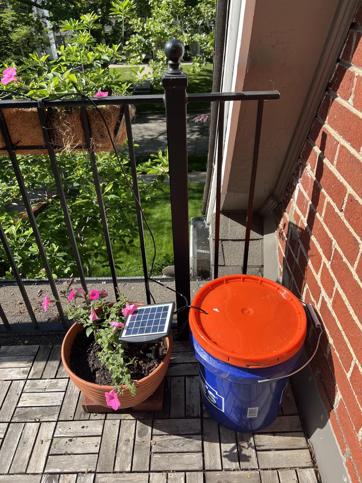 My Experience with JIYANG Solar Auto Irrigation Kit