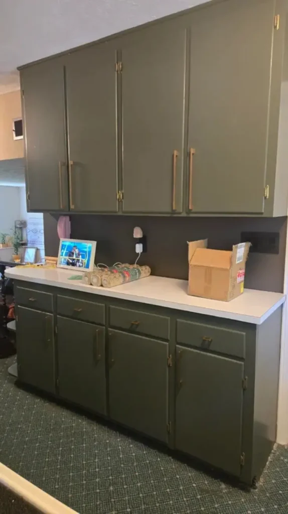 Kitchen Remodel Storage Solutions