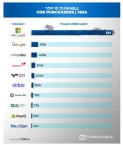 microsoft carbon removal