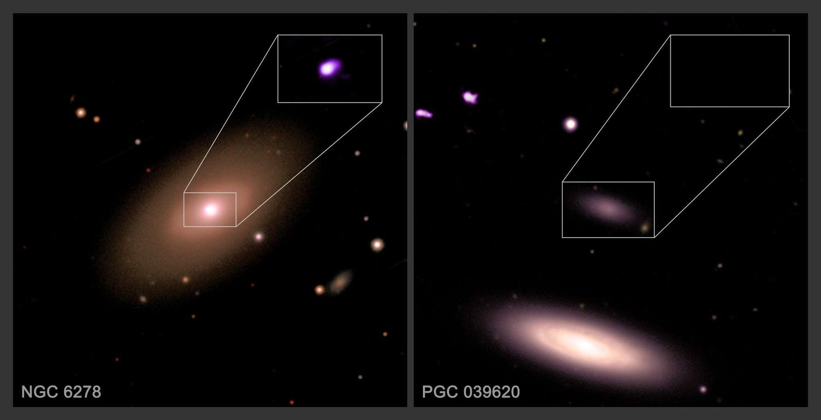NGC 6278 and PGC 039620 are two galaxies from a sample of 1,600 that were searched for the presence of supermassive black holes. These images represent the results of a study that suggests that smaller galaxies do not contain supermassive black holes nearly as often as larger galaxies do. The study analyzed over 1,600 galaxies that have been observed with Chandra over two decades. Certain X-ray signatures indicate the presence of supermassive black holes. The study indicates that most smaller galaxies like PGC 03620, shown here in both X-rays from Chandra and optical light images from the Sloan Digital Sky Survey, likely do not have supermassive black holes in their centers. In contrast, NGC 6278, which is roughly the same size as the Milky Way, and most other large galaxies in the sample show evidence for giant black holes within their cores.