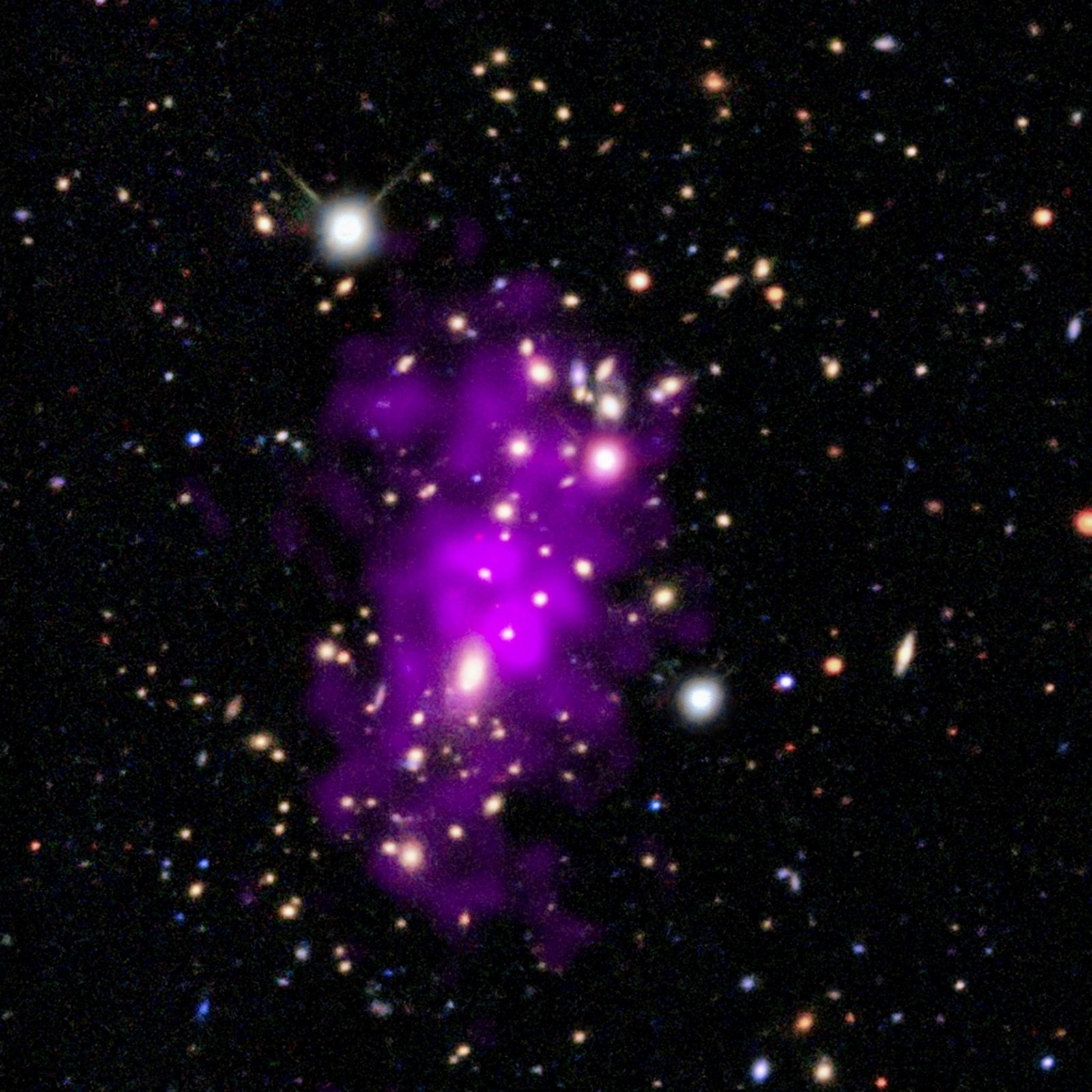 This release features a composite image of a galaxy cluster first discovered on New Year's Eve day, 2020. The cluster appears here as a large collection of brilliant white lights, each a distinct galaxy. A neon purple cloud stretches across the cluster's crowded core. Many of the hundred-plus galaxies in the cluster are in two clumps of galaxies towards the top and bottom of center. Some are encircled by a faint glowing haze, while a few foreground stars gleam with diffraction spikes. Some of the smaller galaxies are tinted blue, orange, or red, and some appear more oblong than round, suggesting spiral shapes viewed edge-on. The neon purple cloud sits at the heart of the image, surrounding the most densely-packed part of the cluster. This cloud, which spreads vertically across the cluster, is multimillion-degree gas observed by Chandra. The two clumps of observable galaxies, and the spread of superheated gas, reveal that the Champagne Cluster is in fact two clusters in the process of colliding. With the two clusters of sparkling light clinking together, and the auspicious discovery date, astronomers have dubbed the merged cosmic structure "The Champagne Cluster".