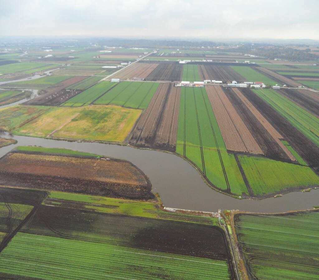 Aerial view of the Holland Marsh showing canal drainage system. 