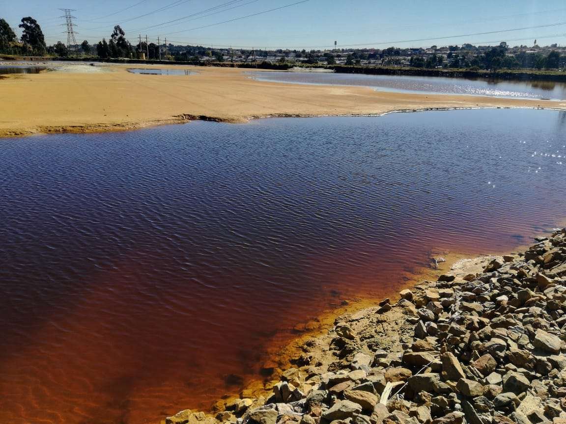 Ochre- and black-colouring visible within the water of a stream or shallow lagoon in a beach location