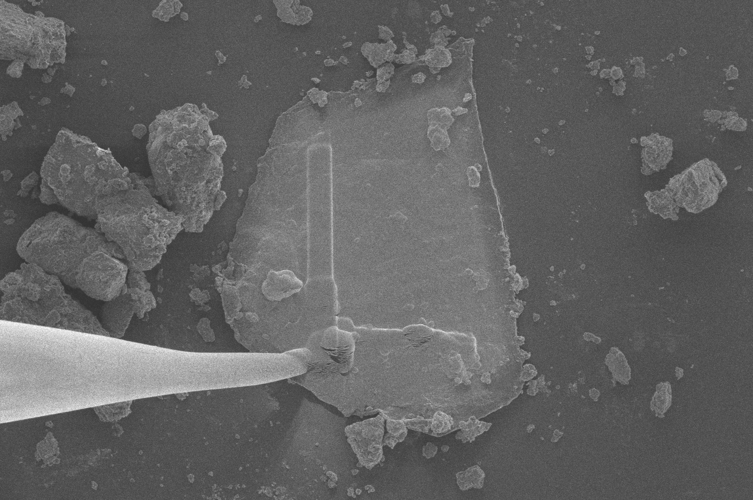 A mostly flat, gray irregular shape moves back and forth against a grayscale background. It's moved by a long thin arm coming from the bottom left of the image.