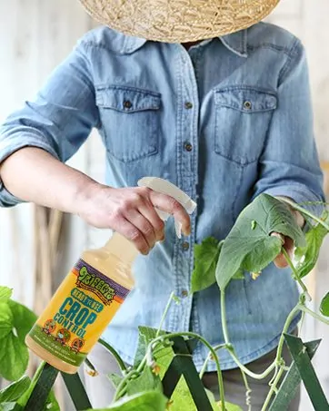 My Experience with Trifecta Crop Control Ready to Use Natural Fungicide