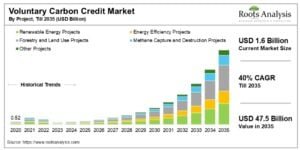 vcm voluntary carbon market carbon credits 