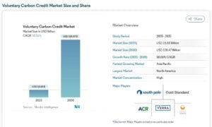 Voluntary carbon credit market VCM 