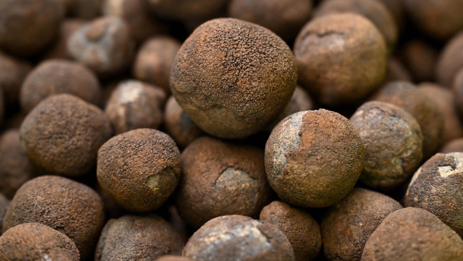 Polymetallic nodules are bulbous lumps of rock rich in battery metals such as cobalt and nickel that can be found in huge swaths of the Pacific Ocean seabed. They're formed over millions of years.