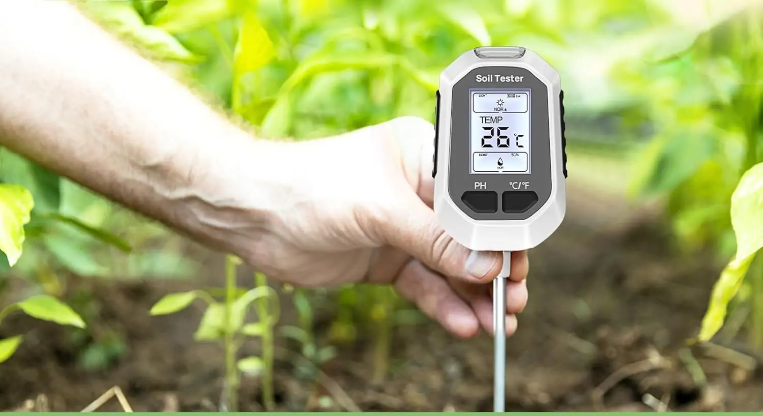 My Experience with YAMRON Soil Moisture Meter