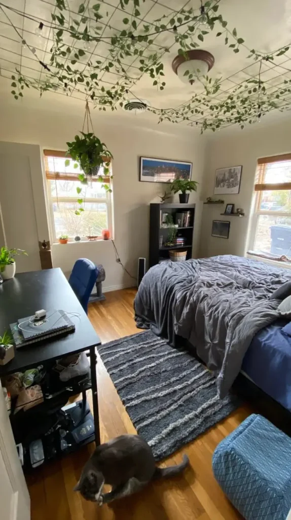 Bedroom Arrangement Ideas Bedroom Arrangement Ideas