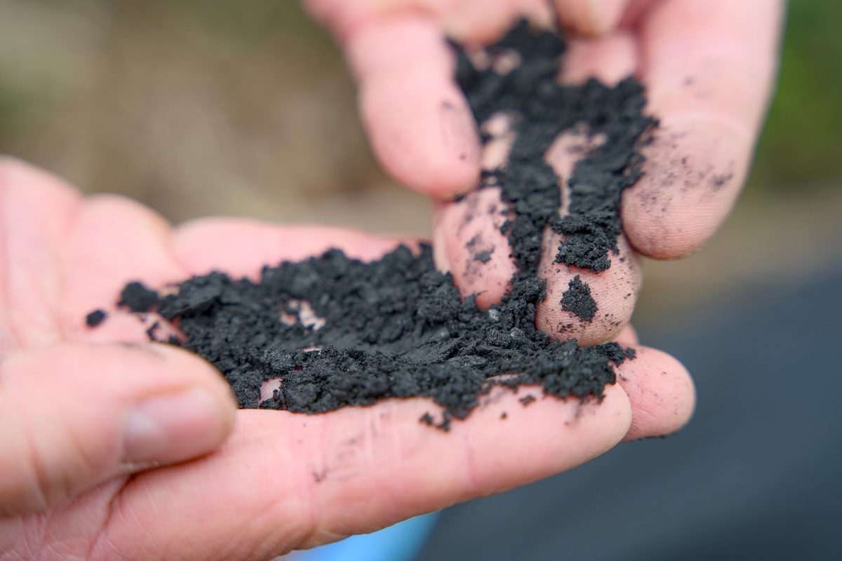 Human hands fingering dark, grainy material that looks like soil