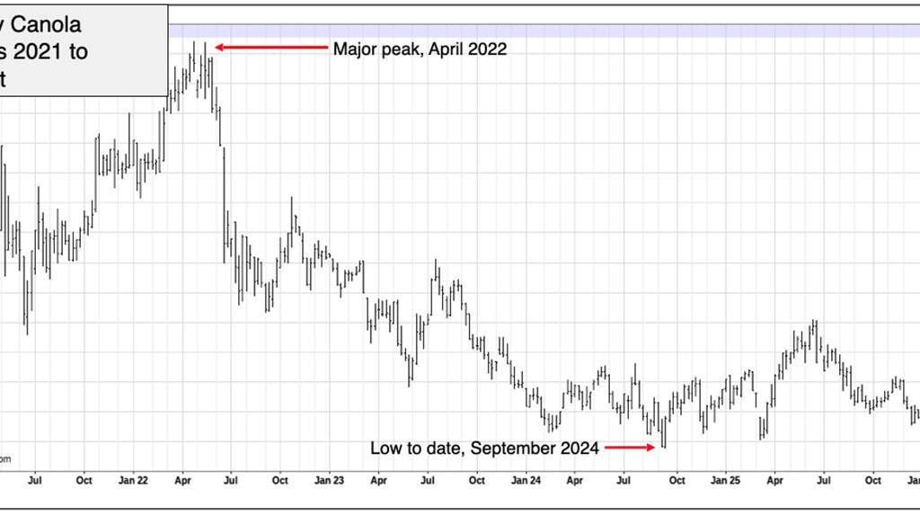 canola futures chart Jan 15