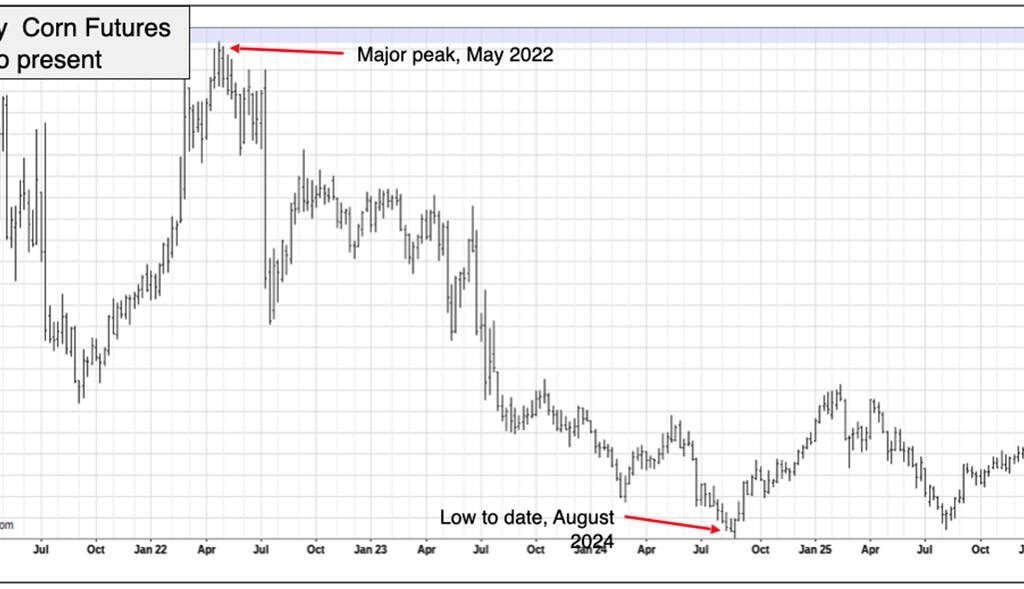 corn futures chart Jan 15