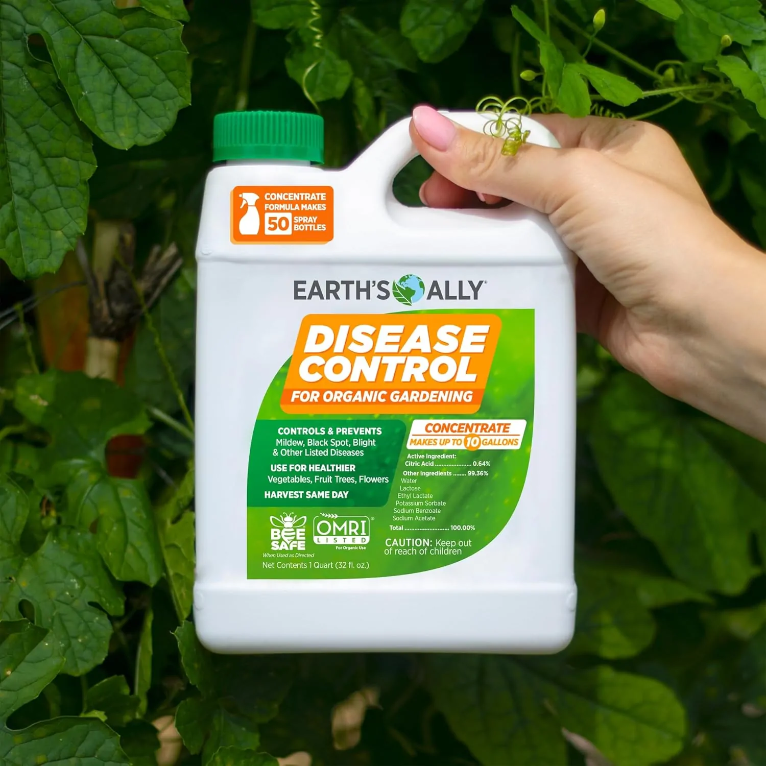 My Experience with Earth's Ally Concentrate Fungicide