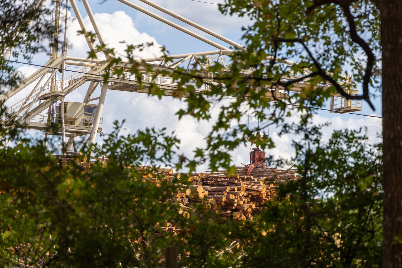 a pile of wood pellets as seen through a gap in tree branches