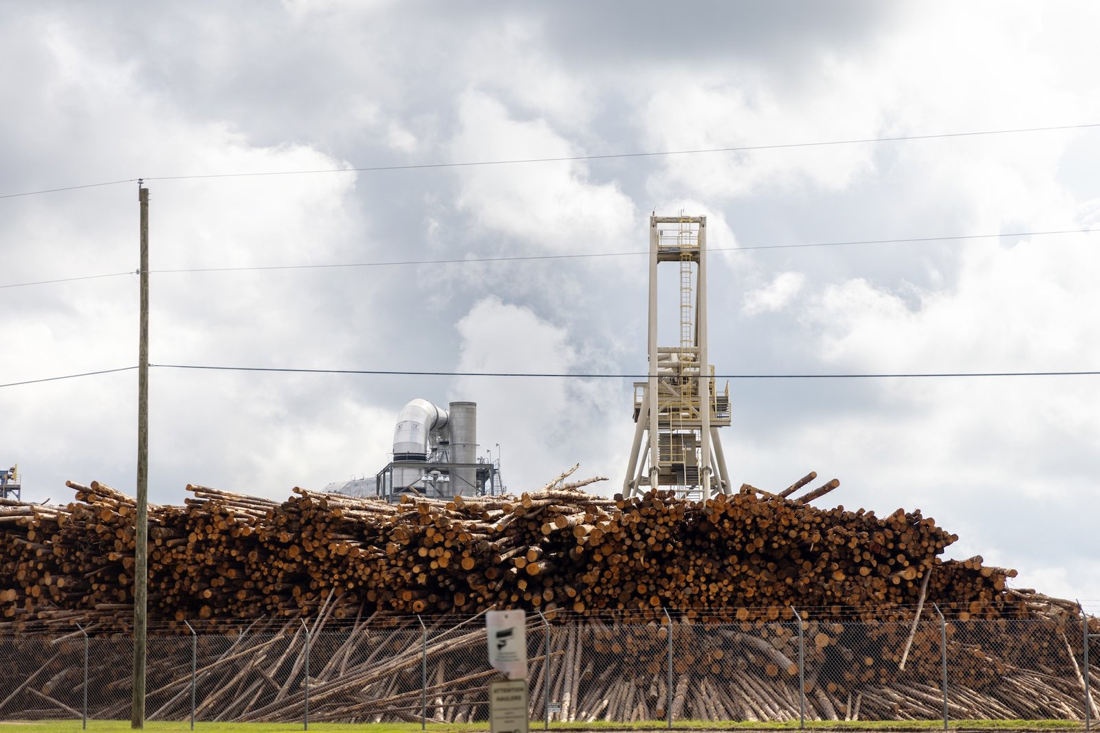 Machines work near a large pile of cut logs