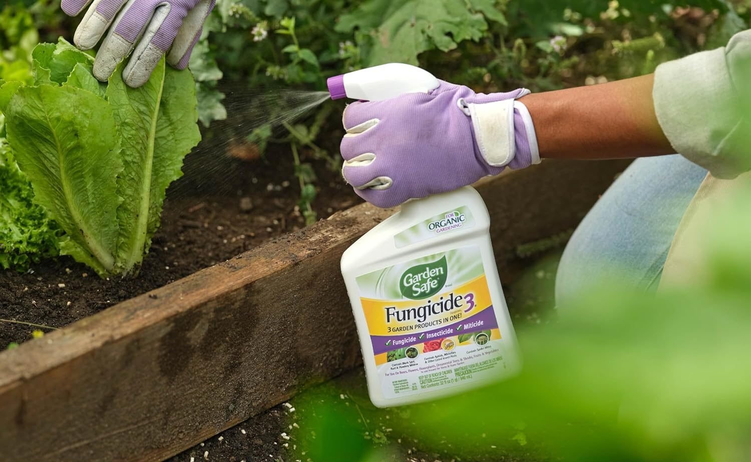 My experiennce with Garden Safe Brand Fungicide3 with Neem Oil Extract