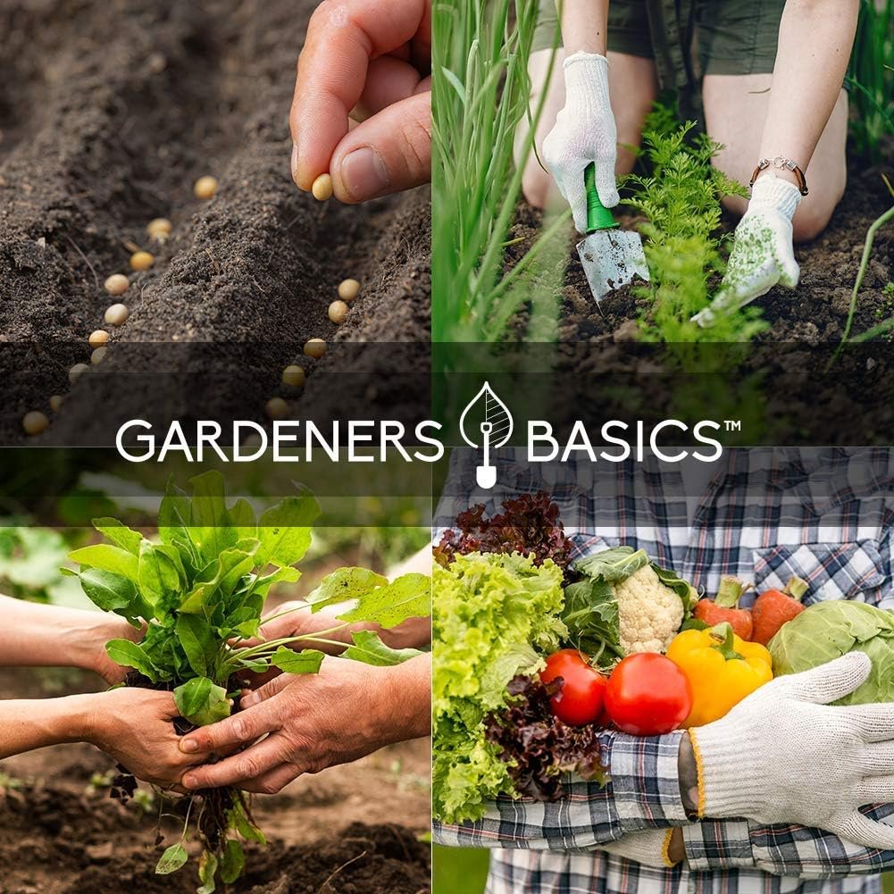 My experience with Gardeners Basics Survival Vegetable Seeds Garden Kit