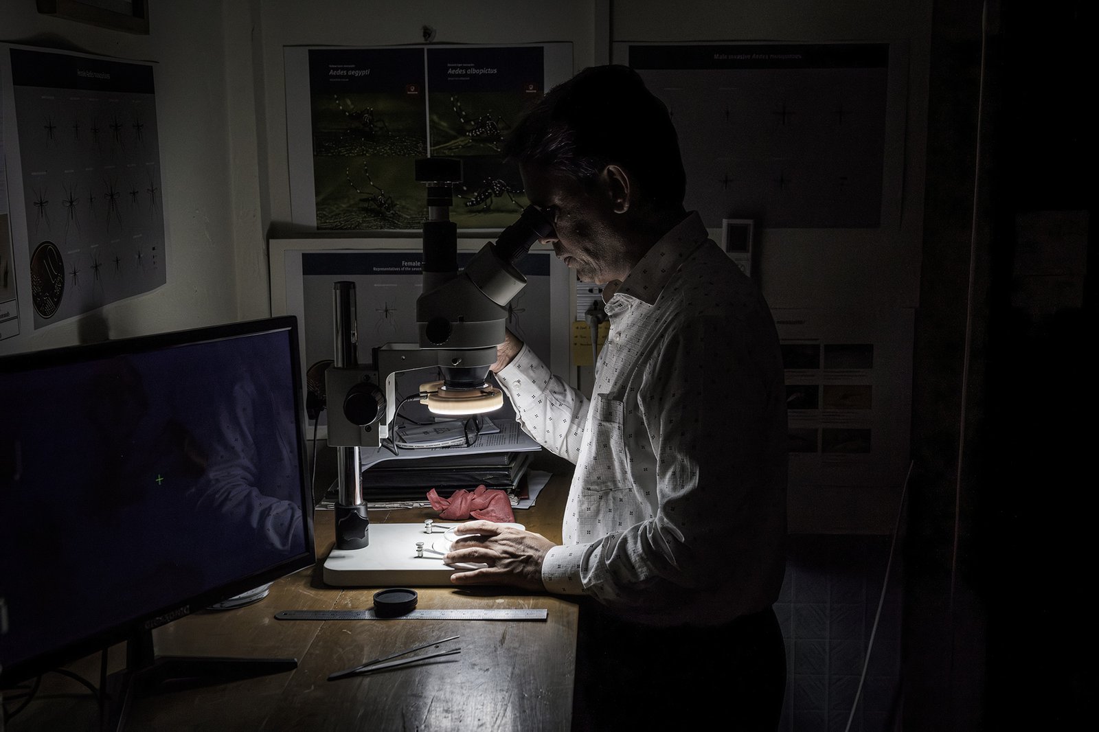 A man looks into a microscope over a small round dish