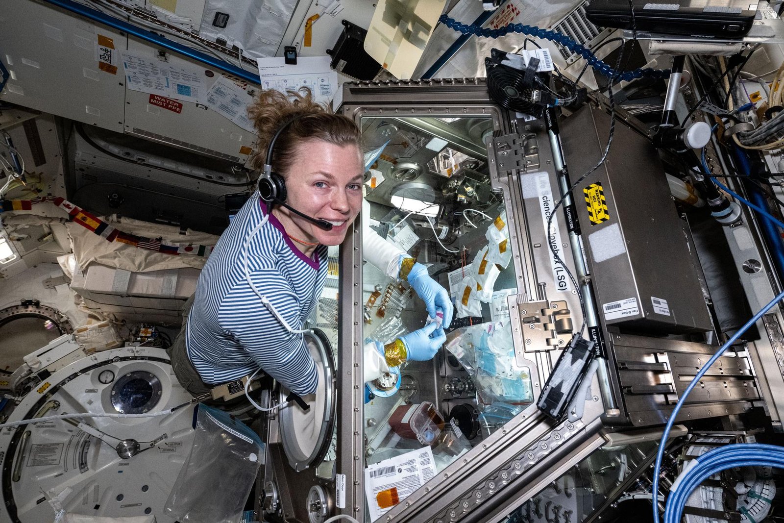 NASA astronaut Zena Cardman reaches into the clear, sealed Life Science Glovebox and holds a small packet. The inside of the rectangular workspace is illuminated by white light and is full of small containers and bags.