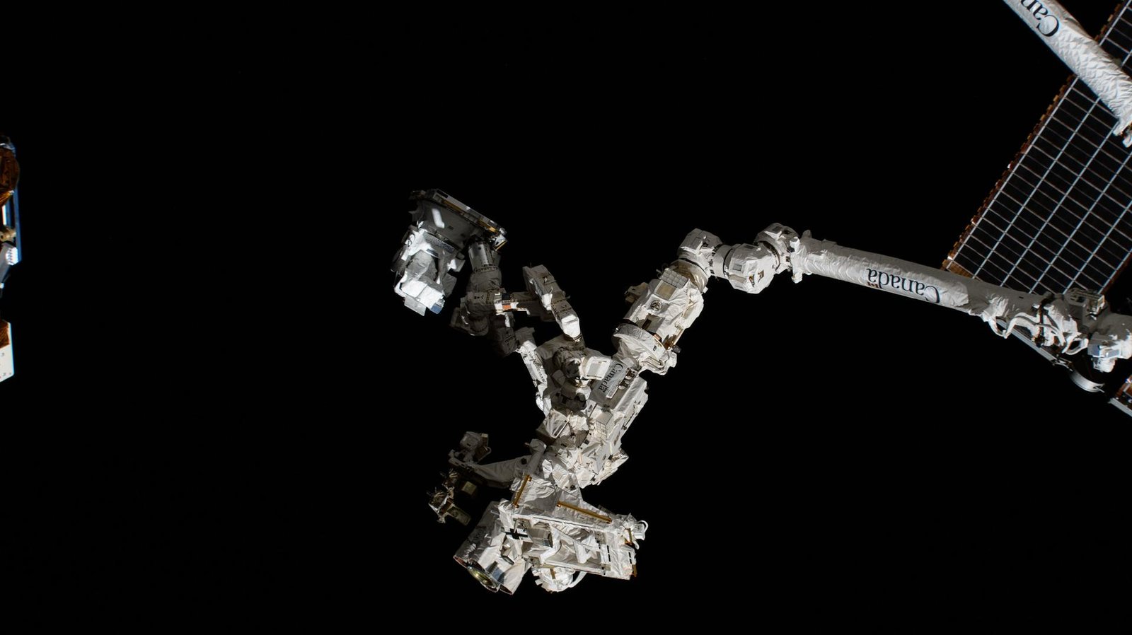 The robotic hand, better known as Dextre, attached to the white tube-like Canadarm2 robotic arm, carries the CODEX experiment after extracting the research hardware from the trunk of the SpaceX Dragon cargo spacecraft. The space station hardware’s white color contrasts against the black background of space.