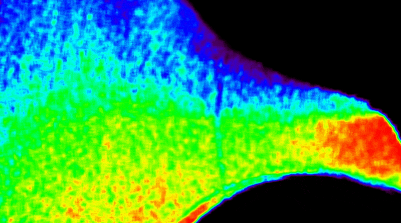 A color-coded heat map of the Sun's outer atmosphere showing a large, fan-like plume. Colors transitions from cool purple and blue on the left to greens in the middle to yellow and bright red on the right, indicating temperature changes over several days.