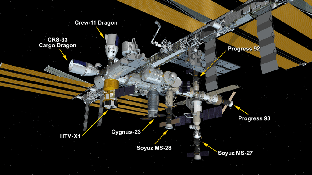 An artistic concept of the International Space Station, displaying its large gold solar arrays and eight different spacecraft attached to it, including the SpaceX Dragon cargo craft, the SpaceX Crew-11 Dragon spacecraft, JAXA’s HTV-X1 cargo craft, Northrop Grumman’s Cygnus XL cargo craft, the Soyuz MS-27 and MS-28 crew spacecraft, and the Progress 92 and 93 resupply ships.