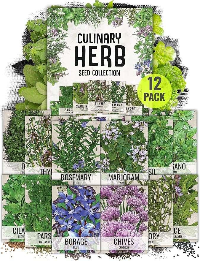 Seed Needs Herb Seeds Variety Pack Culinary Herb