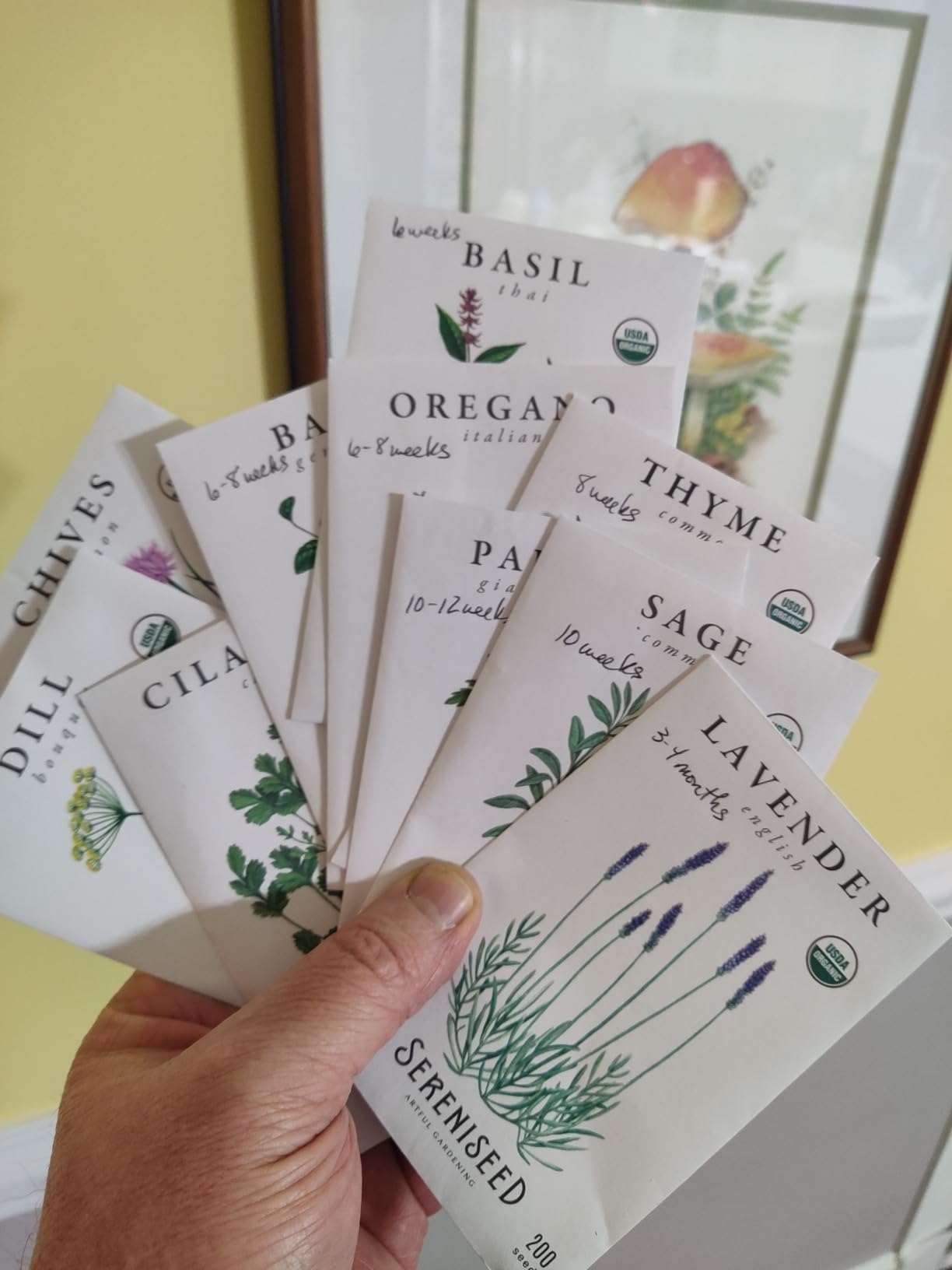 What is Sereniseed Certified Organic Herb Seeds