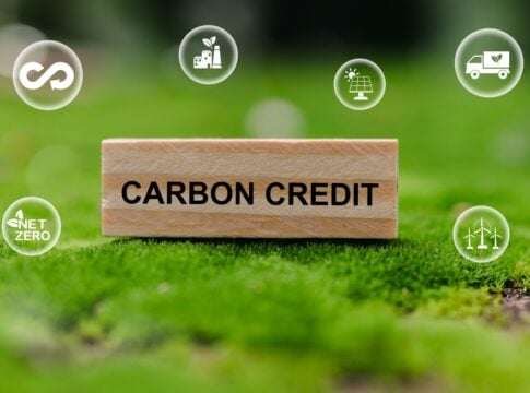 The Carbon Credit Market in 2025 is A Turning Point: What Comes Next for 2026 and Beyond?