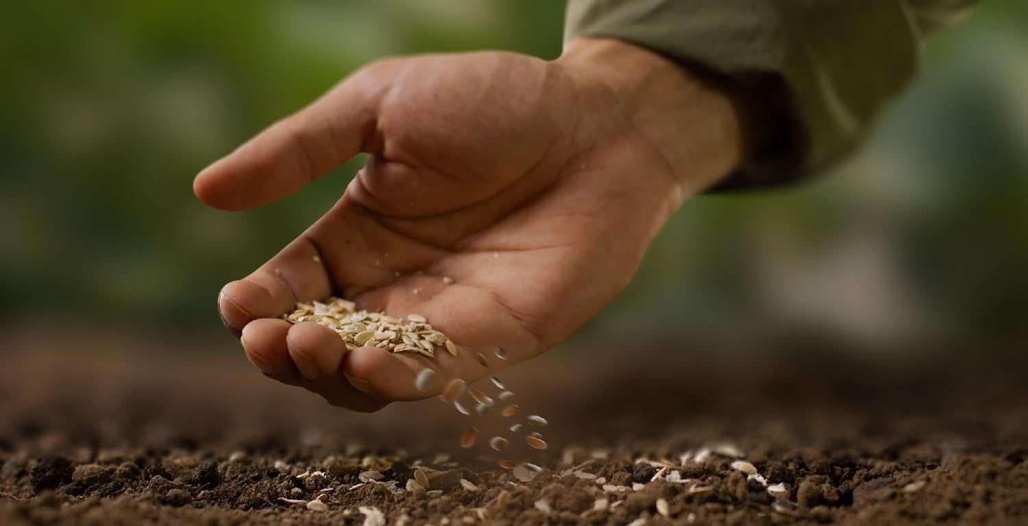 What is Ultimate Non GMO Heirloom Survival Seed Vault